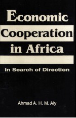 Economic cooperation in Africa in search of direction