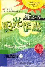 新课程阳光作业  数学  九年级  上