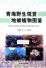 青少野生观赏地被植物图鉴