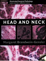 HEAD AND NECK CAMBRIDGE ILLUSTRATED SURGICAL PATHOLOGY