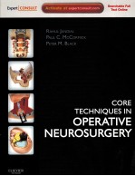 CORE TECHNIQUES IN OPERATIVE NEUROSURGERY