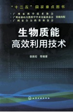 生物质能高效利用技术