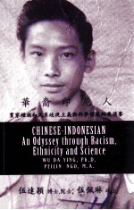 Chinese-Indonesian : an odyssey through racism