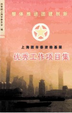 上海团市委资助基层  优秀工作项目集