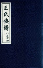 王氏族谱  仁卷2册