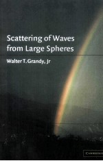 Scattering of Waves from Large Spheres