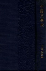 中国文学史