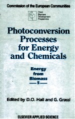 photoconversion processes for energy and chemicals