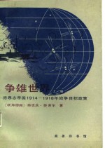 争雄世界-德意志帝国1914-1918年战争目标政策  下