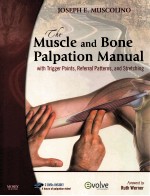 MUSCLE AND BONE PALPATION MANUAL