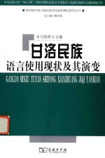 新时期中国少数民族语言使用情况研究丛书  甘洛民族语言使用现状及其演变