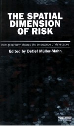 THE SPATIAL DIMENSION OF RISK HOW GEOGRAPHY SHAPES THE EMERGENCE OF RISKCAPES