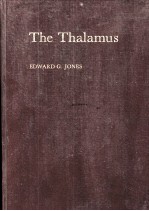 The Thalamus