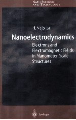 NANOELECTRODYNAMICS:Electrons and Electromagnetic Fields in Nanometer-Scale Structure