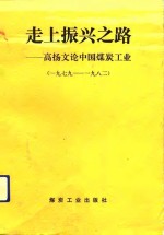 走上振兴之路  高扬文论中国煤炭工业  1979-1985  下