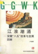 江淮潮涌  安徽“八五”改革与发展回眸