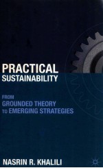 Practical sustainability : from grounded theory to emerging strategies