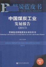 中国煤炭工业发展报告  积极稳妥降低煤炭企业杠杆率  2017版