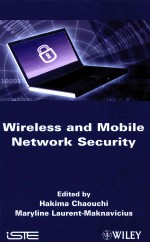 wireless and mobile network security