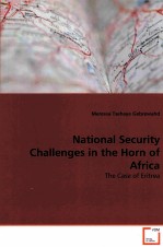 NATIONAL SECURITY CHALLENGES IN THE HORN OF AFRICA