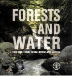 FORESTS AND WATER INTERNATIONAL MOMENTUM AND ACTION