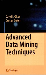 Advanced data mining techniques