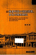 维多利亚小说的资本、文化与性别研究 =Capital