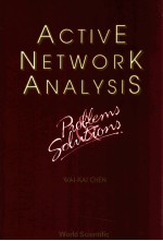 Active network analysis : problems and solutions