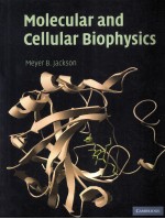 MOLECULAR AND CELLULAR BIOPHYSICS