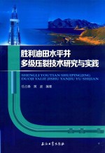 胜利油田水平井多级压裂技术研究与实践