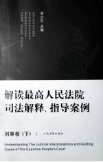 解读最高人民法院司法解释、指导案例  刑事卷  下