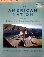 THE AMERICAN NATION:A HISTORY OF THE UNITED STATES SINCE 1865 VOLUME TWO TENTH EDITION