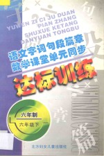 语文字词句段篇章  数学课堂单元同步达标训练  六年制  第12册