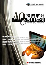 AO投资审计应用实例