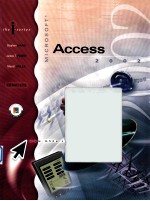 the i-series Microsoft Access 2002 : complete