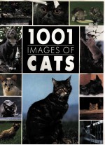 1001 IMAGES OF CATS