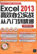 Excel 2013高效办公实战从入门到精通  视频教学版