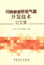 川西致密砂岩气藏开发技术论文集