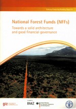 NATIONAL FOREST FUNDS (NFFS) TOWARDS A SOLID ARCHITECTURE AND GOOD FINANCIAL GOVERNANCE