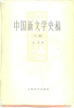 中国新文学史稿  下