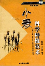 小麦科学种植技术