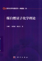 现代化学专著系列  典藏版  28  煤自燃量子化学理论