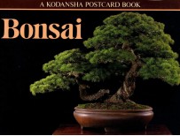 BONSAI  A KODANSHA POSTCARD BOOK