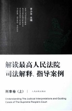 解读最高人民法院司法解释、指导案例  刑事卷  上