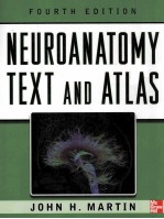 NEUROANATOMY TEXT AND ATLAS