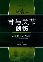 太安大典系列  骨与关节创伤