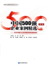 中国500强企业案例精选  第1辑