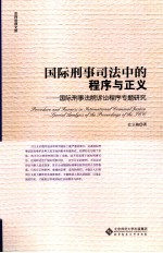 国际刑事司法中的程序与正义  国际刑事法院诉讼程序专题研究