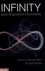 Infinity new research frontiers