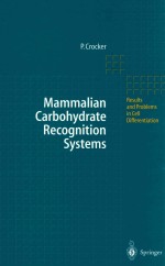 Mammalian carbohydrate recognition systems